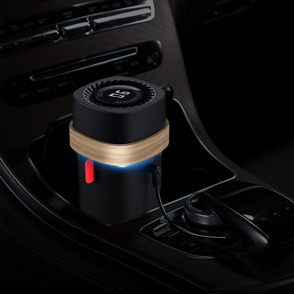 Vehicle Disinfection Purifier（C6S)