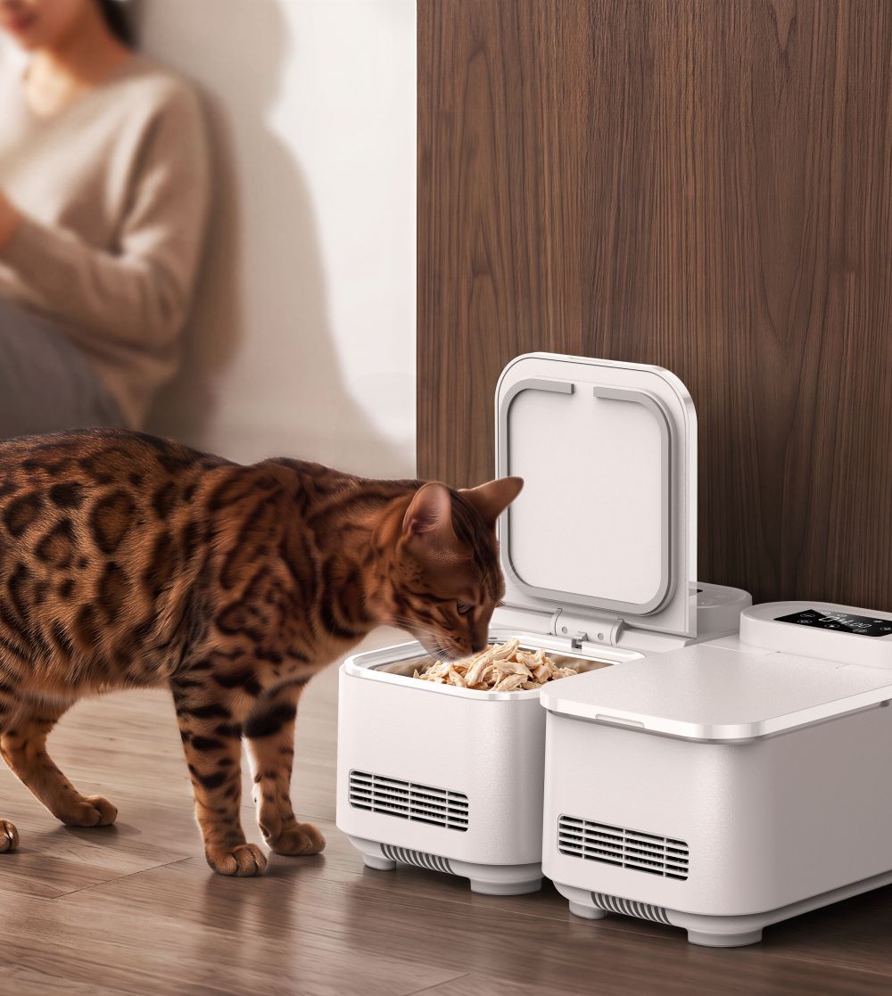 wet pet food feeder