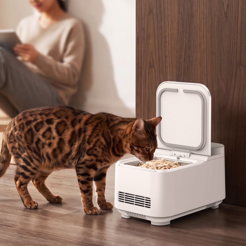 wet pet food feeder